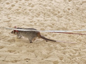 20230911_133255.jpg 20230911_133255.jpg