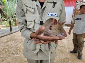 20230911_133223.jpg 20230911_133223.jpg