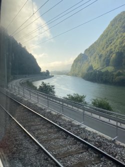 IMG_2946.jpeg IMG_2946.jpeg