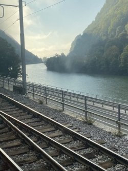 IMG_2947.jpeg IMG_2947.jpeg