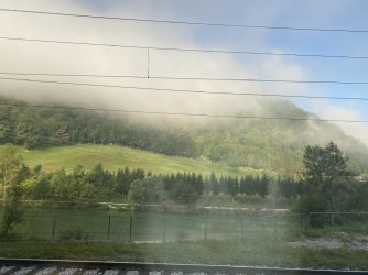 IMG_2948.jpeg IMG_2948.jpeg