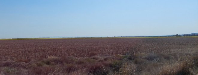 1694567897751.jpeg 1694567897751.jpeg