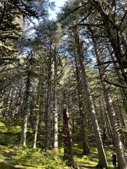 IMG_2067.jpeg IMG_2067.jpeg