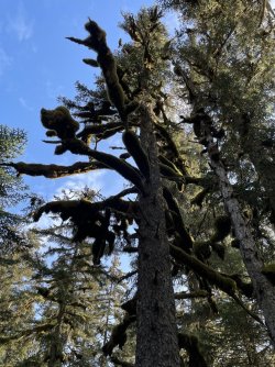 IMG_2066.jpeg IMG_2066.jpeg