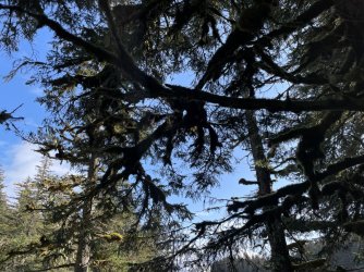 IMG_2064.jpeg IMG_2064.jpeg