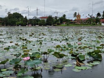 2023-09-15 12.50.28.jpg 2023-09-15 12.50.28.jpg