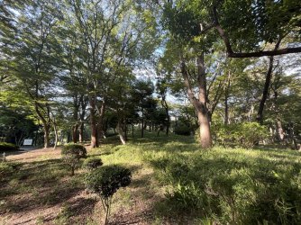 IMG_0191.jpeg IMG_0191.jpeg