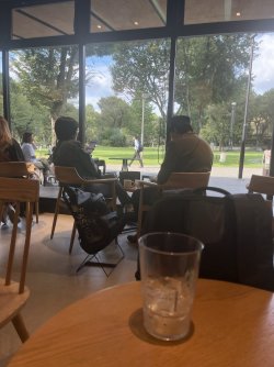 IMG_0195.JPEG IMG_0195.JPEG