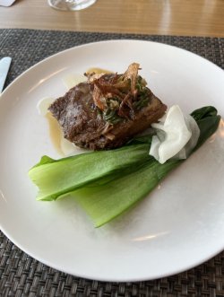 IMG_7544.jpeg IMG_7544.jpeg