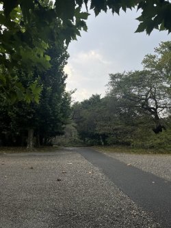 IMG_0216.JPEG IMG_0216.JPEG