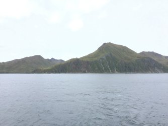 IMG_0333.jpeg IMG_0333.jpeg