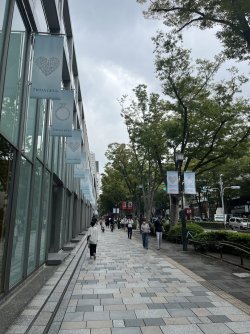 IMG_0230.jpeg IMG_0230.jpeg