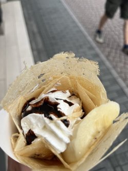 IMG_0246.jpeg IMG_0246.jpeg