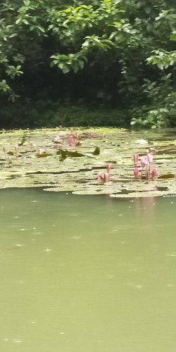 IMG20230916114614.jpg IMG20230916114614.jpg