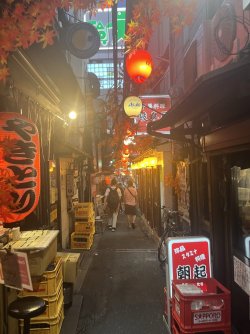 IMG_0254.jpeg IMG_0254.jpeg