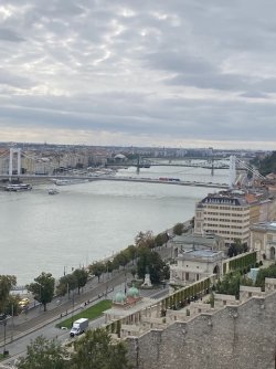 IMG_3277.jpeg IMG_3277.jpeg