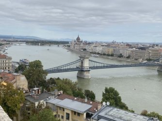 IMG_3278.jpeg IMG_3278.jpeg