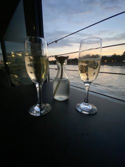 IMG_3204.jpeg IMG_3204.jpeg