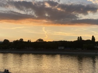 IMG_3199.jpeg IMG_3199.jpeg