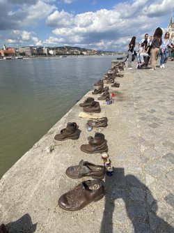 IMG_3182.jpeg IMG_3182.jpeg