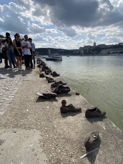 IMG_3183.jpeg IMG_3183.jpeg