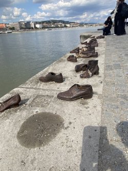 IMG_3185.jpeg IMG_3185.jpeg