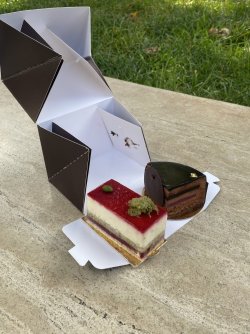 IMG_3198.jpeg IMG_3198.jpeg