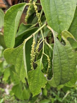 2023-09-16 10.40.18.jpg 2023-09-16 10.40.18.jpg