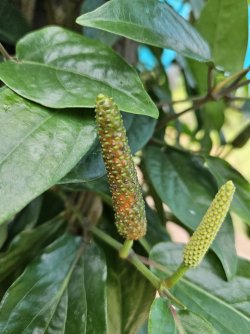 2023-09-16 10.49.52.jpg 2023-09-16 10.49.52.jpg