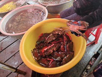 2023-09-16 13.04.08.jpg 2023-09-16 13.04.08.jpg