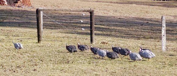 1694923926488.jpeg 1694923926488.jpeg