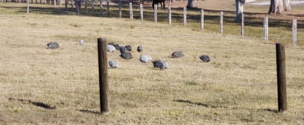 1694923967585.jpeg 1694923967585.jpeg