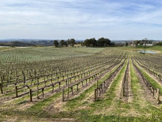 IMG_6584.JPG IMG_6584.JPG