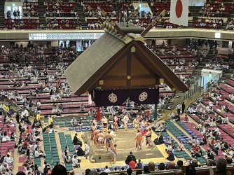 IMG_0315.jpeg IMG_0315.jpeg