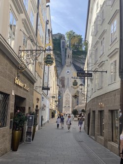 IMG_3323.jpeg IMG_3323.jpeg