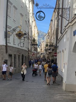 IMG_3324.jpeg IMG_3324.jpeg