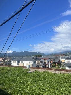 IMG_0344.jpeg IMG_0344.jpeg