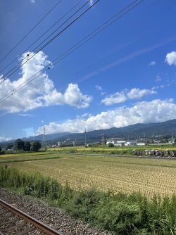 IMG_0346.jpeg IMG_0346.jpeg