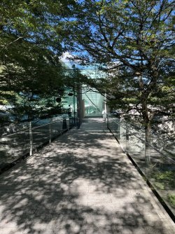IMG_0357.jpeg IMG_0357.jpeg