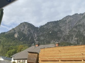 IMG_3340.jpeg IMG_3340.jpeg