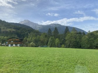 IMG_3342.jpeg IMG_3342.jpeg