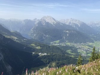 IMG_3371.jpeg IMG_3371.jpeg