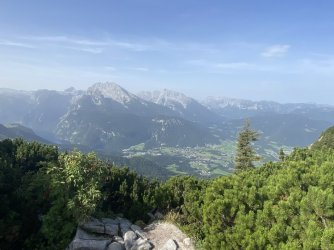 IMG_3379.jpeg IMG_3379.jpeg