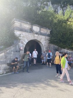 IMG_3408.jpeg IMG_3408.jpeg