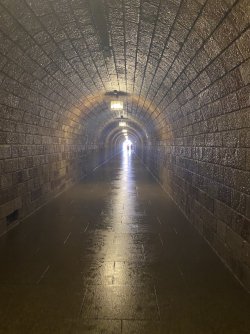 IMG_3404.jpeg IMG_3404.jpeg