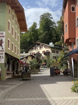 IMG_3428.jpeg IMG_3428.jpeg