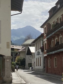 IMG_3432.jpeg IMG_3432.jpeg