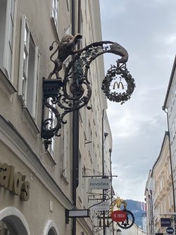 IMG_3478.jpeg IMG_3478.jpeg