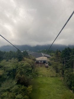 IMG_0448.jpeg IMG_0448.jpeg