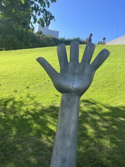 IMG_0477.jpeg IMG_0477.jpeg
